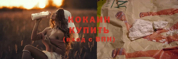 кокс Арсеньев