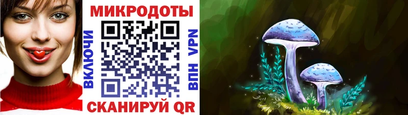 Псилоцибиновые грибы Psilocybine cubensis  где можно купить   Макарьев 
